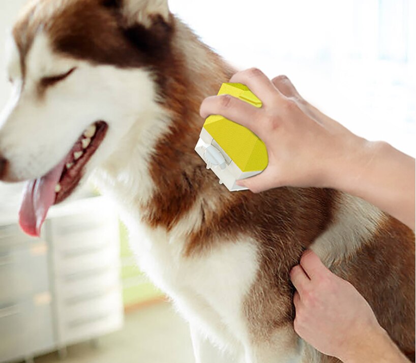 Huisdieren Douchekop Draagbare Multifunctionele Sprinkler Handheld Douche Huisdieren Kam Voor Honden Katten Blauw/Roze/Groen/Geel