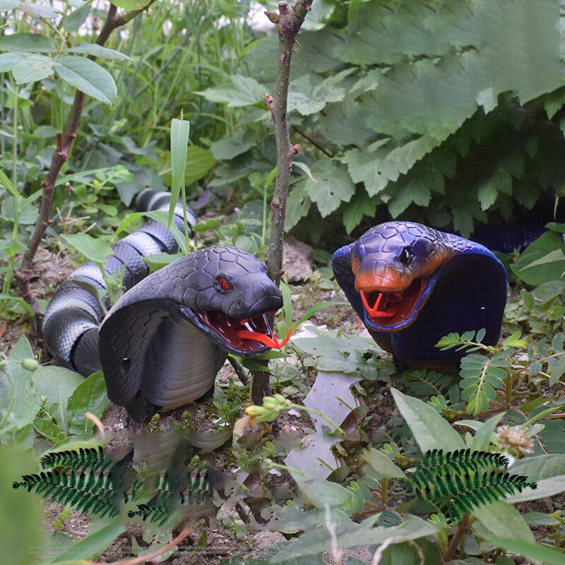 Cat Toy Pet Remote Control Snake Crawl Toy Funny Cat Interactive Toy Emulation Cobra Electric Toys USB Charging Dog Supplies