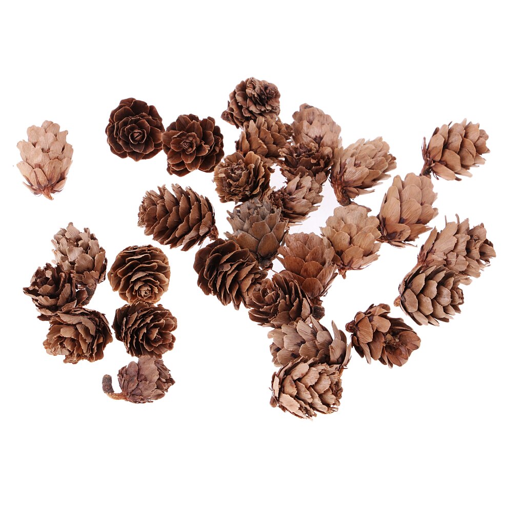 30pcs Small Decorative Pine Cones for Home Party Ornament DIY