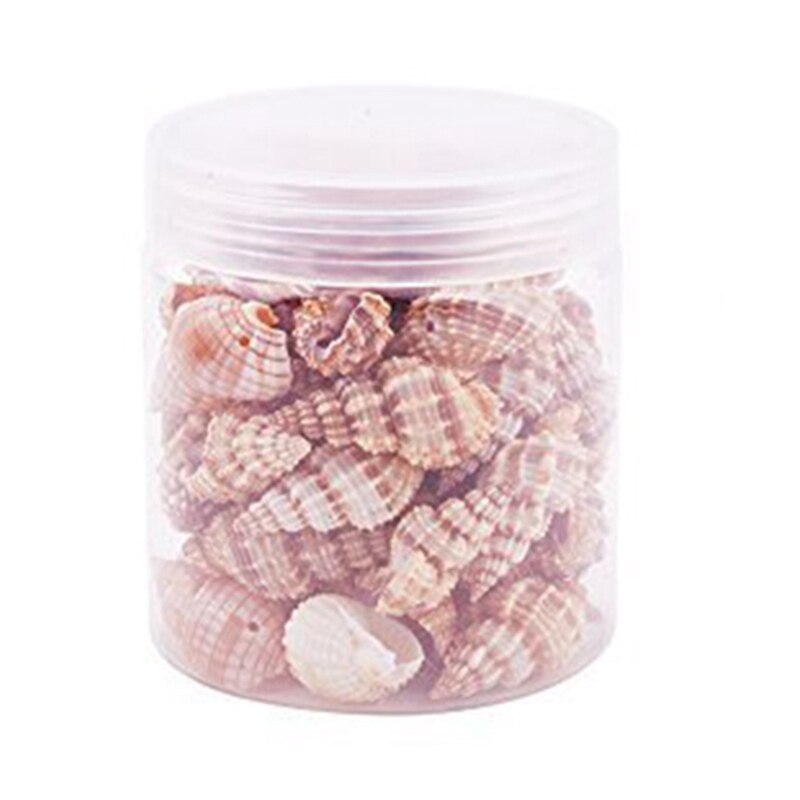 Ongeveer 40-50 Stukken Van Kleine Zee Schelpen, Spiraal Schelpen, Shell Craft Accessoires, geschikt Voor Kaars Maken, Strand Thema Party Wedd: Default Title