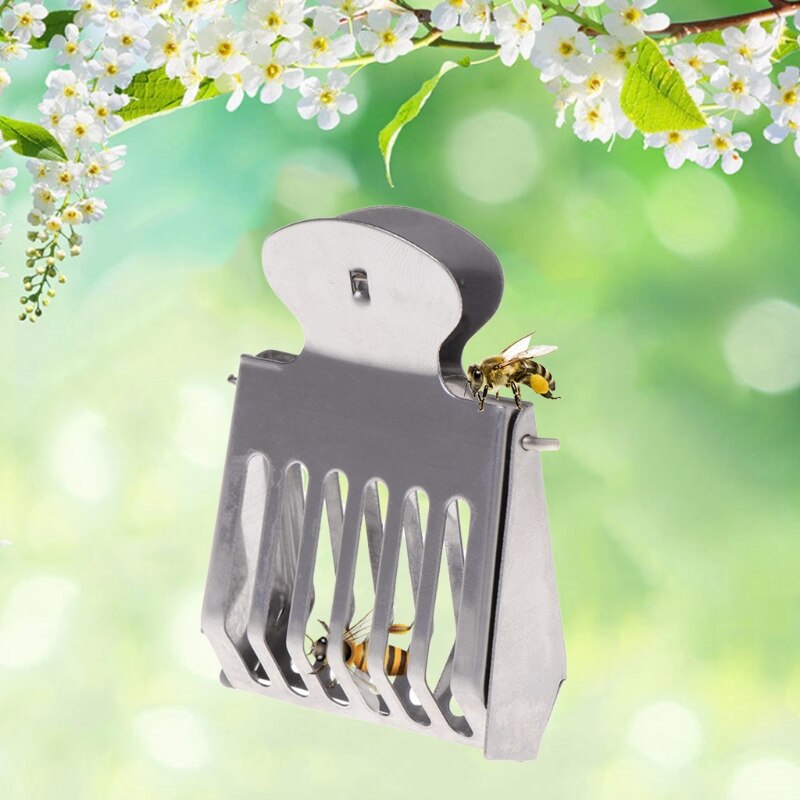 Bee Cage Prisoner Stainless Steel Queen Beekeeping Tools Equipment Accessories