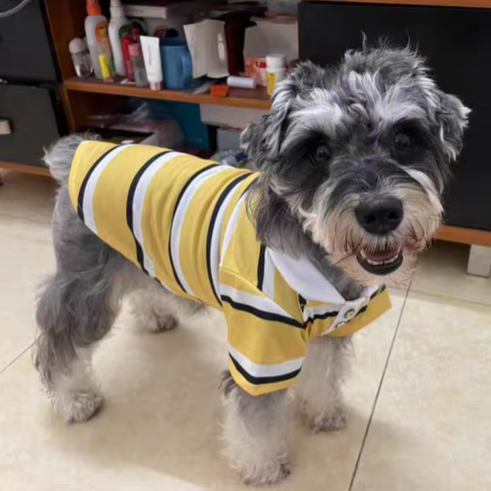 Polo deportivo a rayas para cachorros, ropa para mascotas de primavera y otoño para perros pequeños, jerséis de Bichon maltés Schnauzer, ropa para mascotas