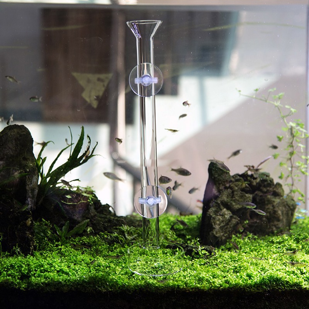 Juego de 2, gambas transparentes para comer comida, bandeja de alimentación para acuario, tanque de peces, 1 tazón redondo de 60mm (diámetro), Tubo de 1x30cm
