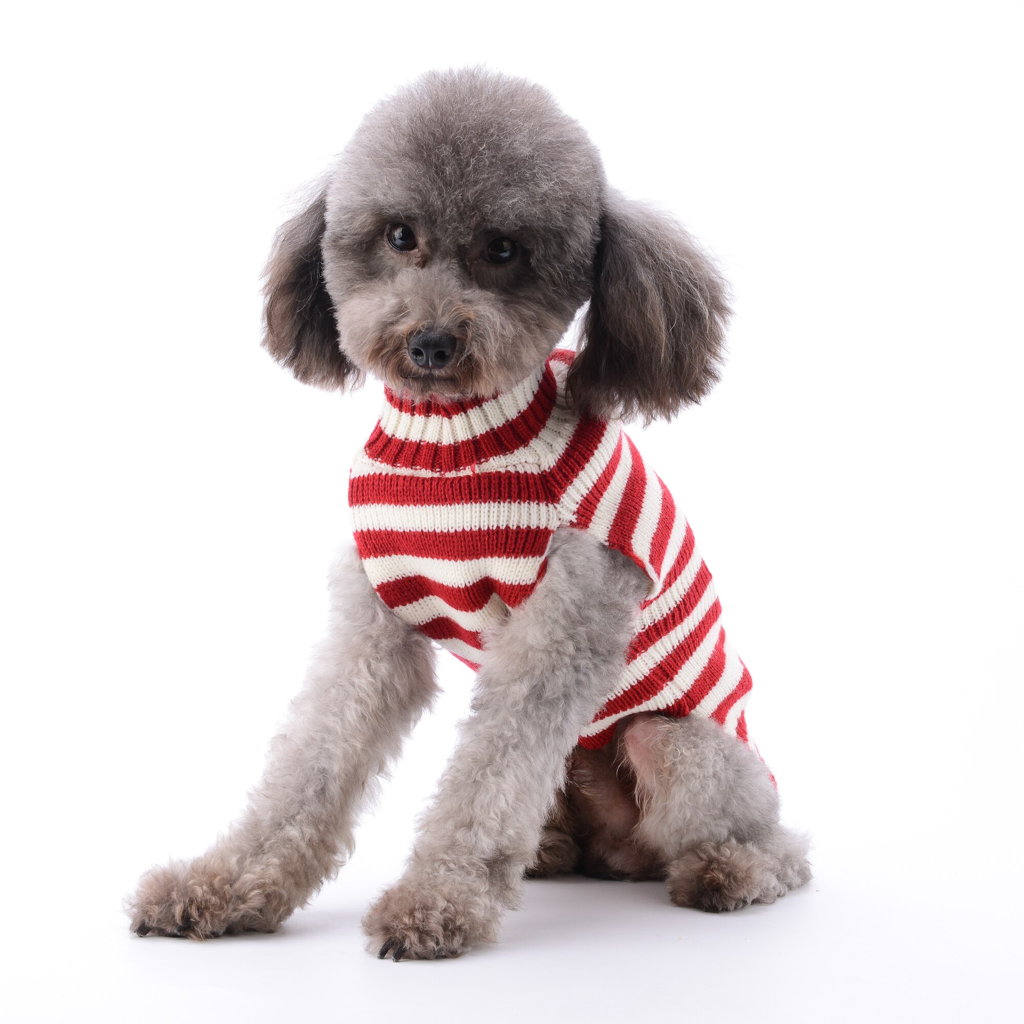 Suéter patrón de Santa Claus de Navidad para perro salchicha, ropa de invierno para perros pequeños, suéter para perro Chihuahua