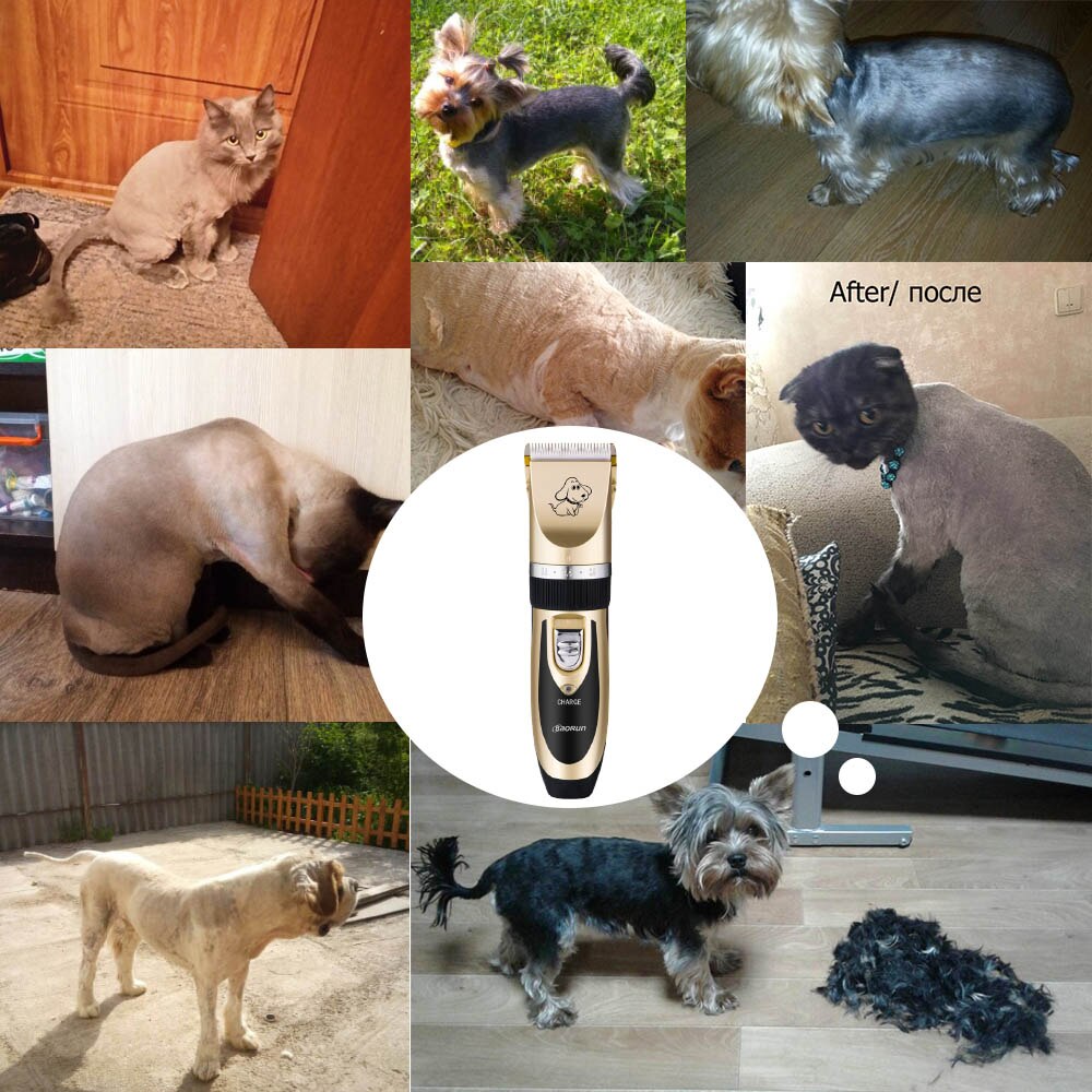 Baorun Pet Dog Hair Trimmer Animal Grooming Clippers Cat Cutter Machine Shaver Electric Scissor Clipper 110-240V AC