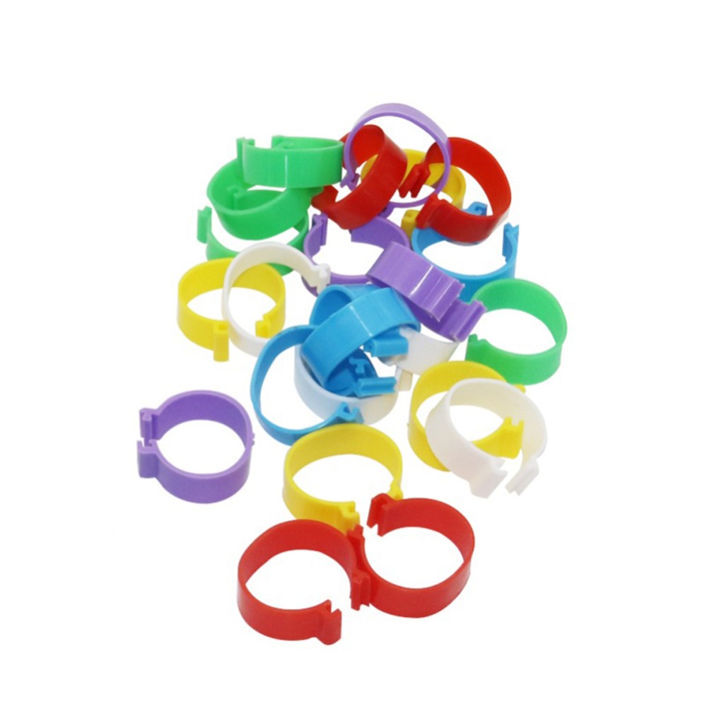 25Mm Pluimvee Voet Ring Kip Eend Gans Vogels Voeden Levert 6 Kleuren Gesp Type Clip Ringen Boerderij Apparatuur 30 stuks