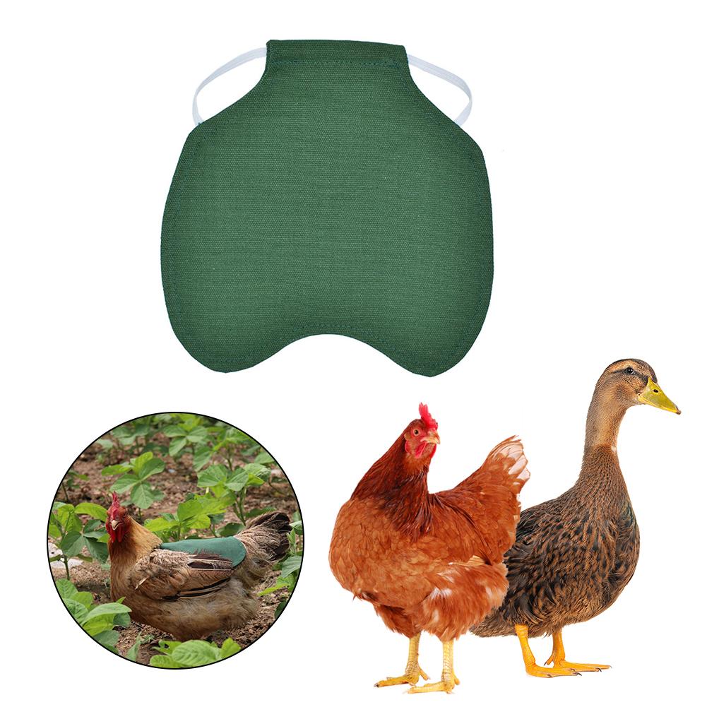Chicken Duck Jacket Hen Chicken Saddle Apron Feather Back Protector Single Strap Standard Chicken Jackets: Green