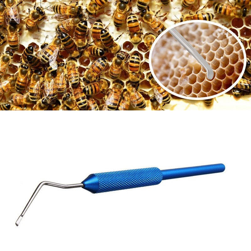 Stainless Steel Needle Bee Queen Larva Transferring Needle Dual Purpose Beekeeping Shift Pin Worm Moving Grafting Tool #10