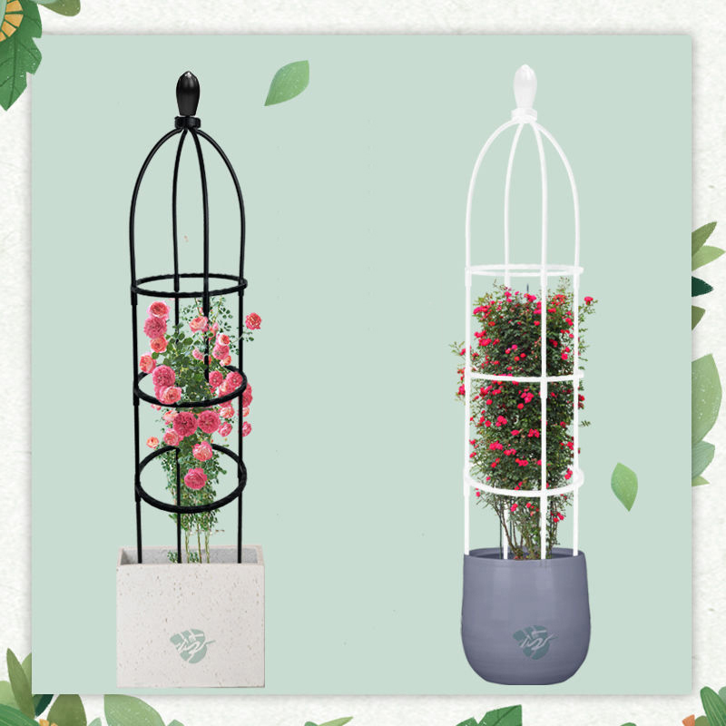 1einstellen Klettern Anlage Spalier Garten Unterstützung Käfige Für Blumen Pflanzen Klettern Unterstützung Rahmen Spalier DIY Reben Topf Anlage Stehen