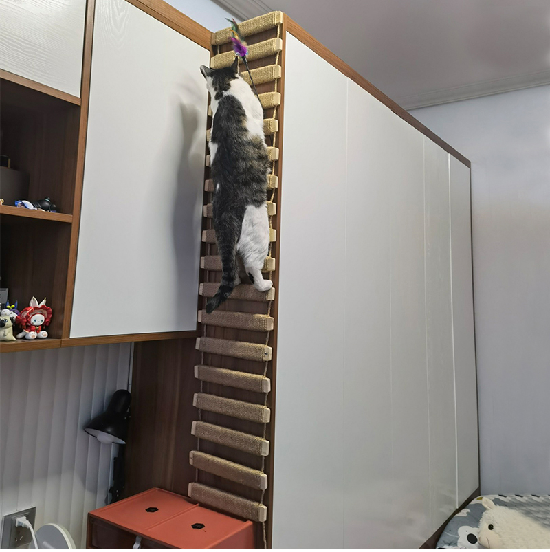 Juguetes de pared para actividades, rascador de Sisal de madera para gatos, muebles escaladores, puente para gatos, escalones de cuerda, escalera para gatitos, poste para pared