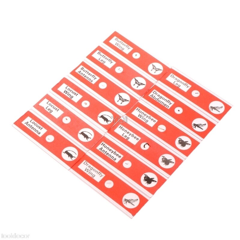 12 Pcs Prepared Microscope Slides Set Specimen For Student Basic Biology Education