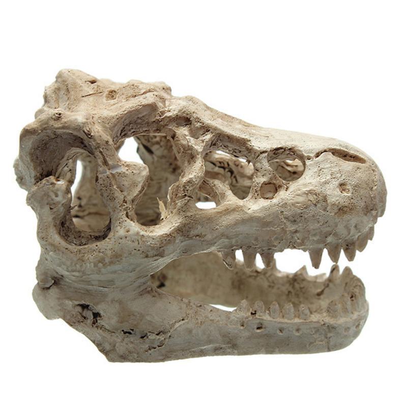 1 stk drage harpiks akvarium/terrarie dekoration krokodille kranie til akvarium harpiks ornament dekorere dit akvarium