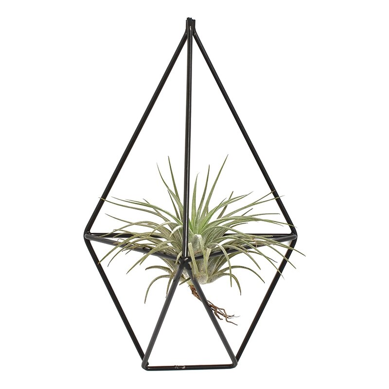 2 Stuks Opknoping Air Plant Stand Voor Tillandsia Display Wall Gemonteerde Geometrische Tillandsia Air Plant Stand