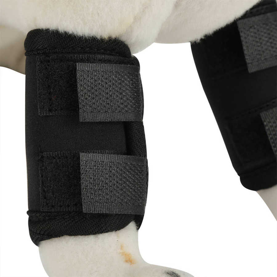 Supportive Dog Canine Front Leg Hock Joint Brace Paw Straps Wrap Knee ...
