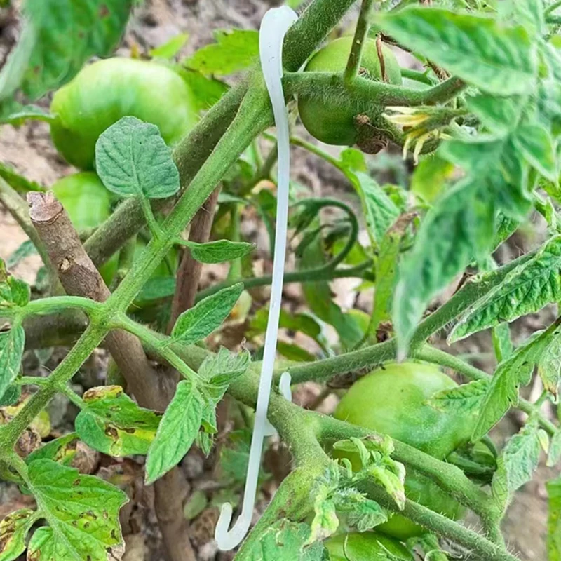 Ganchos en forma de J para soporte de tomate, 13/16CM, soporte para plantas, Clips para verduras para evitar tomates, racimo de frutas de pellizco o caída