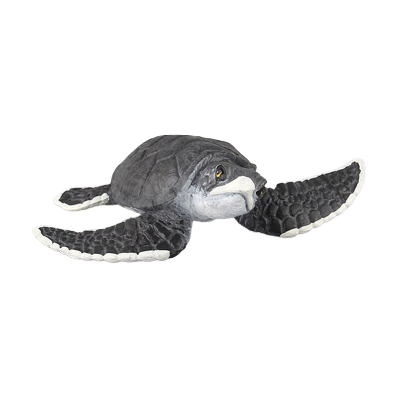 Sea Fish Miniature Statue Figurine that Looks Real Science Toy Students Reward: 07 Turtle