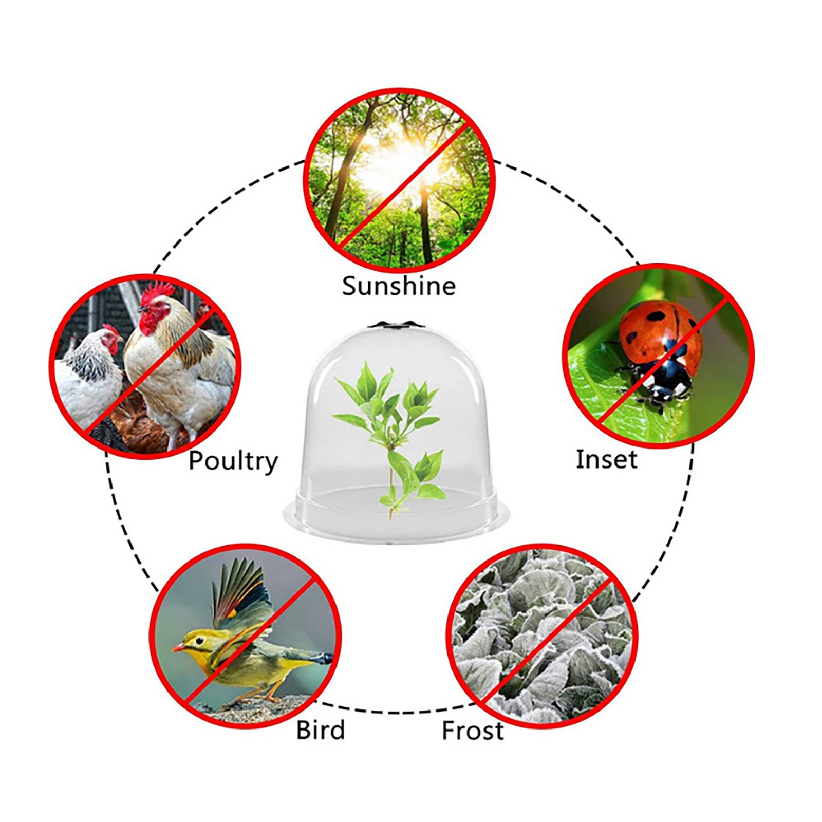 Garden Cloche Dome Plant Bell Protector Cover Plastic For Plant Protection Greenhouse Plant Growth Protective Cover