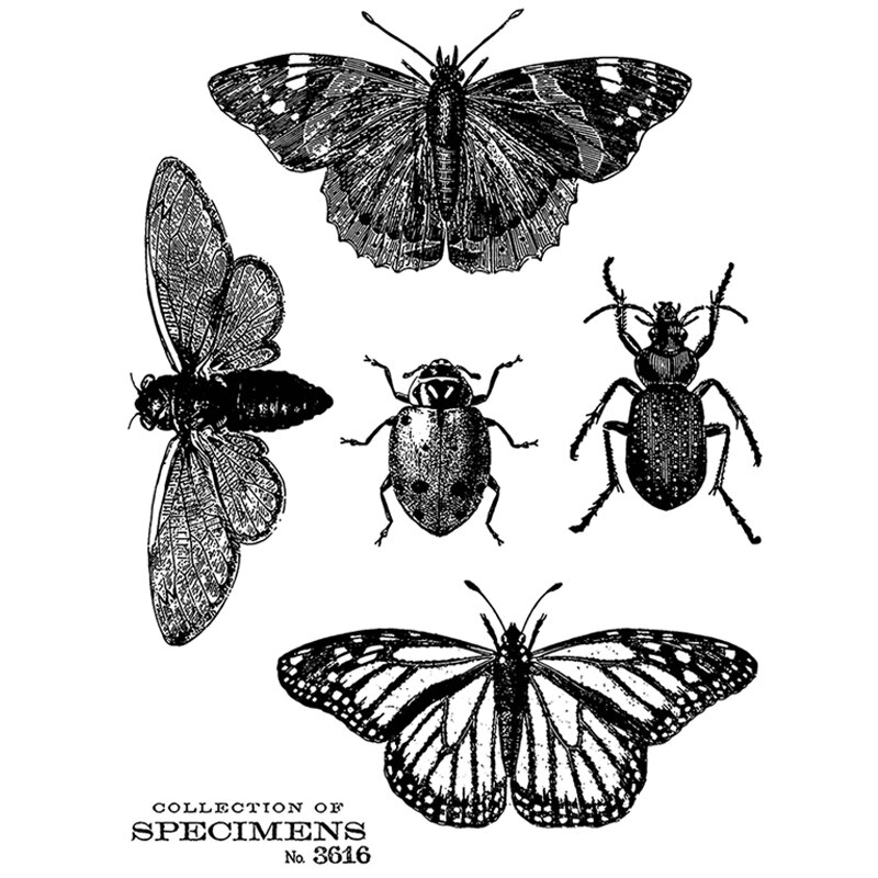 Insektdyr sommerfugl møl og bille mariehøne mønster klare stempler til gør-det-selv-sæson lykønskningskort gør ingen carft dør: Default Title