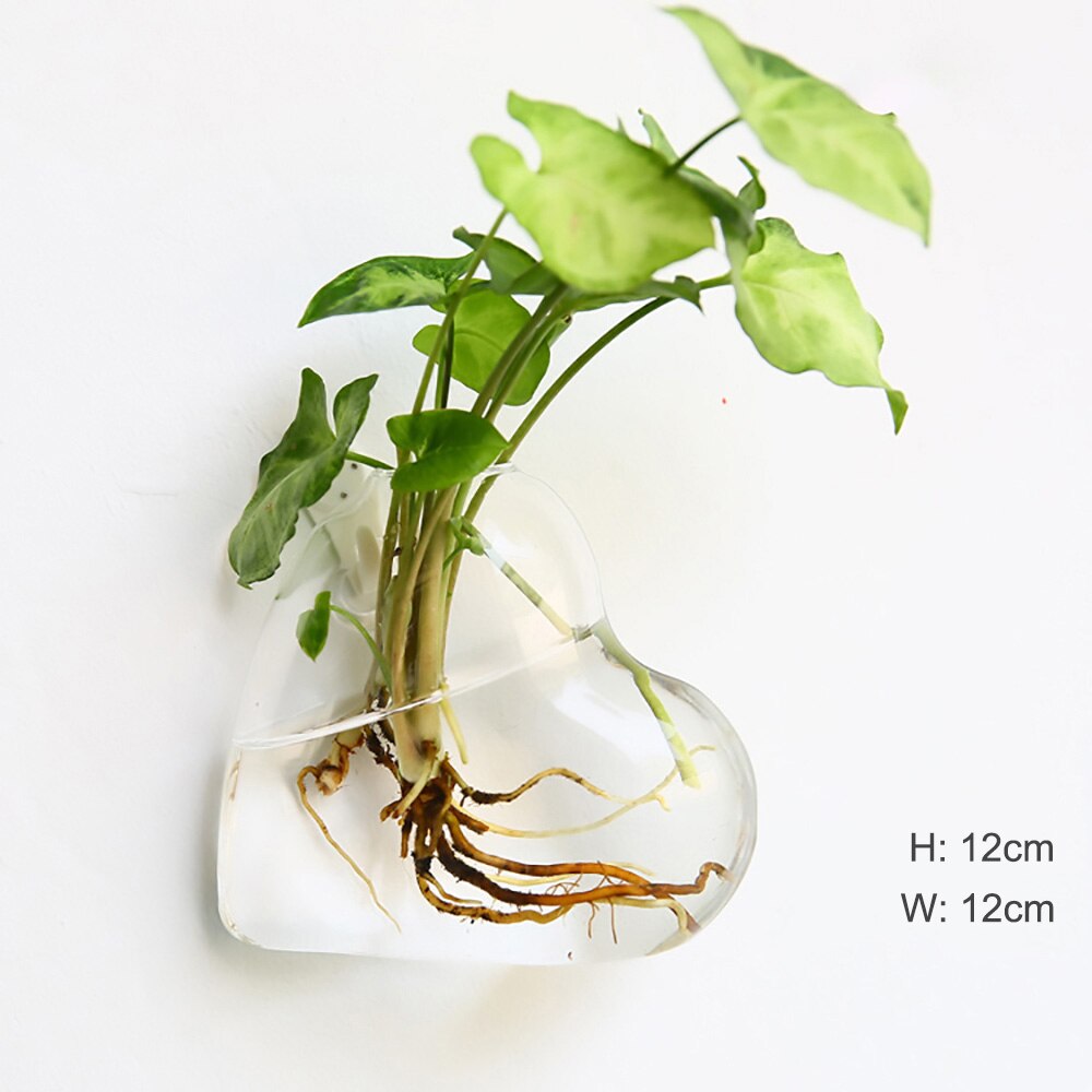 Vase à Fleurs en Verre Suspendu au Mur, à la , Terrarium Mural, Aquarium, Conteneur, Pots de Décoration de Jardin, pour la Maison: 4