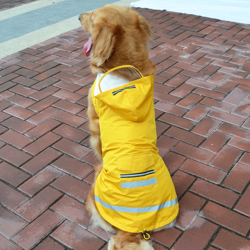 Vandtæt stor hund regnfrakke stor udendørs frakke mesh regnjakke reflekterende medium poncho chubasquero perro labrador regnfrakke: Gul / 5xl