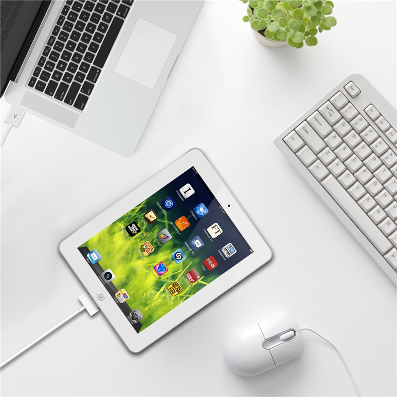 For IPhone X 4 4S 5 5S 5C SE 6 6S 7 8 Plus IPad Charging Cable USB Sync Data Charging Charger Cable Cord Mobile Phone Accessory