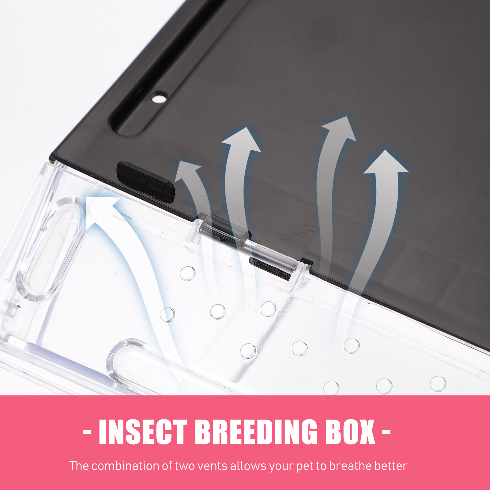 1pc Reptile Feeding Box Practical Snake Hatching Container Lizard Display Box