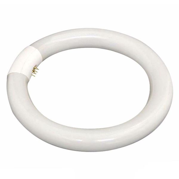 22W 32W Round Fluorescent Lamp Circular Blub Lamp T9 Ring Tubes Light Replacement of Fluorescent Light Lamp Fluorescent