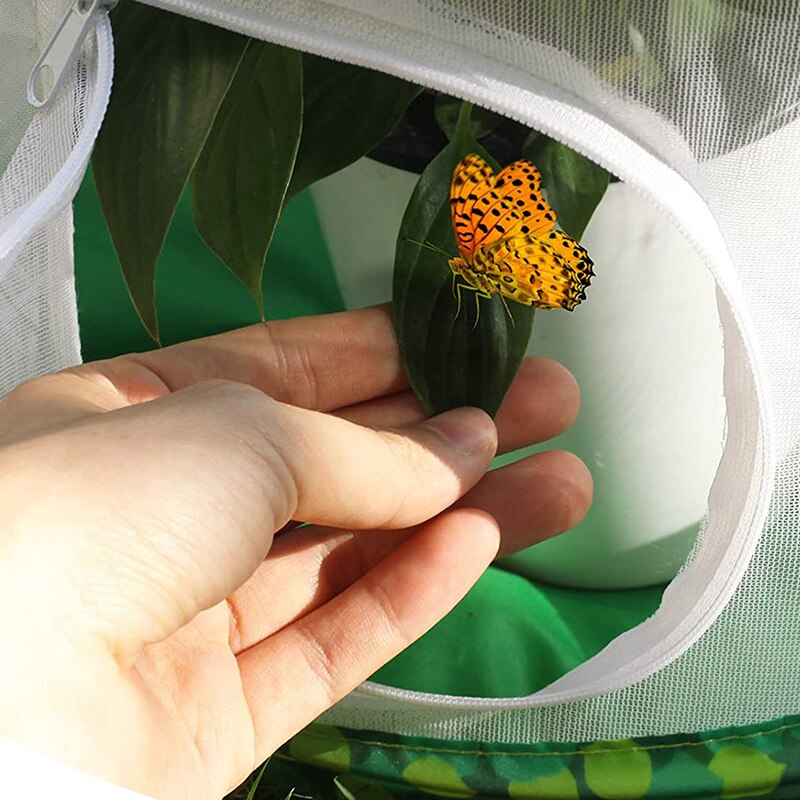 Green Collapsible Insect Cage Mesh Insect Habitat Cage Butterfly Mantis Stick Breeding Zipper Cages Net Cloth