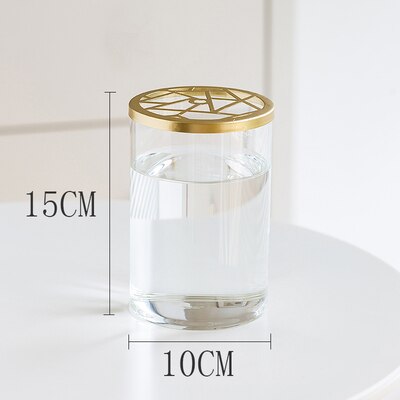 Nordic Transparent Glass Vase Golden Grid Cover Living Room Flower Arrangement Ikebana Decoration Desktop Hydroponic Plants Tool: K