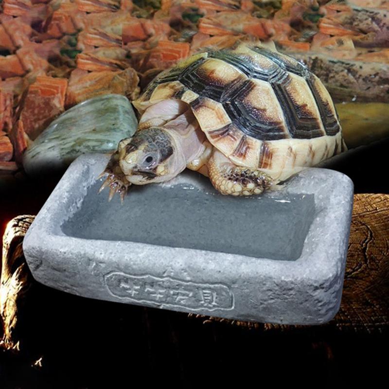 1 ud. Plato de agua y comida para reptiles, duradero, seguro, práctico, estable, no tóxico, bebedero para reptiles de serpiente, Tortuga, araña