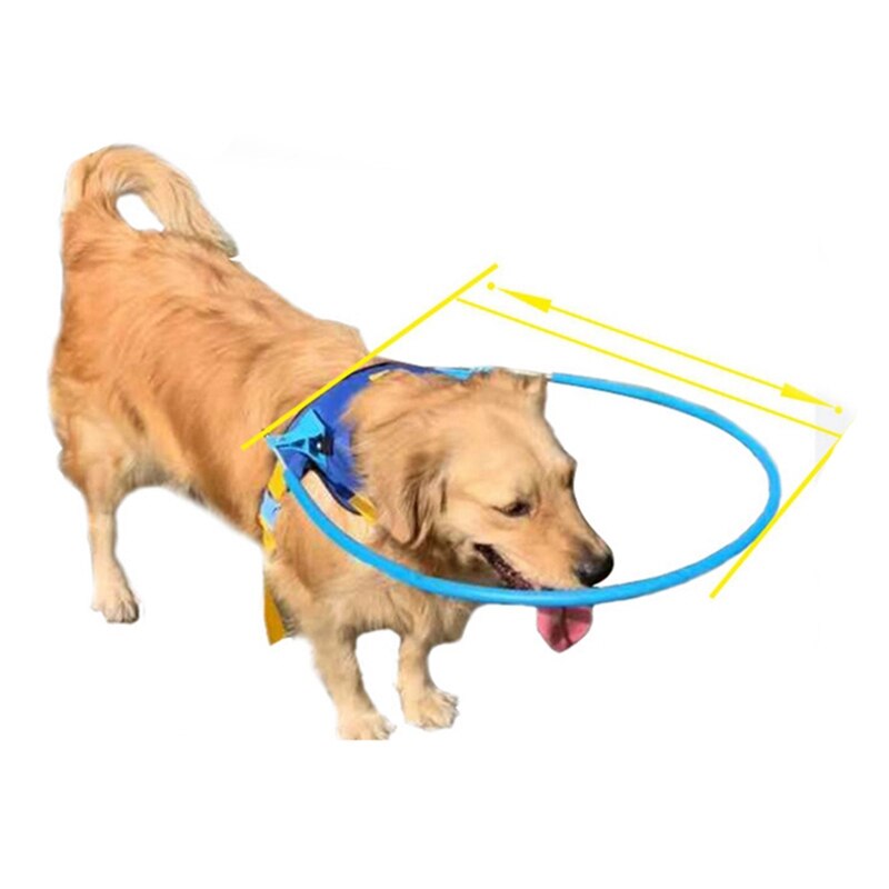 Stappen Blind Pet Anti-Collision Ring Schorpioen Cataract Dier Bescherming Cirkel Gids Hond Harnas Voor Kleine Puppy Honden S