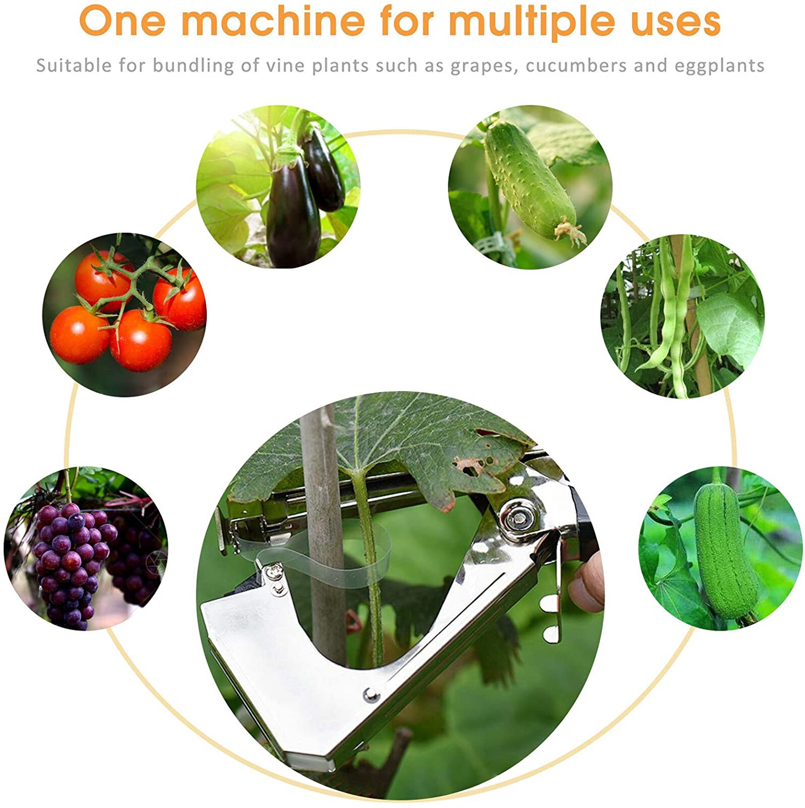 12 Pcs/set Home Plant DIY Tying Machine Device Set Tying Tomatoes Cucumbers and Other Plant Branches Vines Garden Grafting Tools