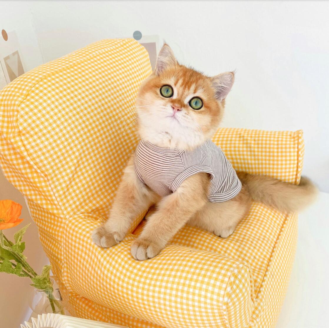 Summer Pet Clothes Cherry Print Cat Clothes for Small Cats Dogs Costume Cherry Print Cat Shirt: Gray / XL