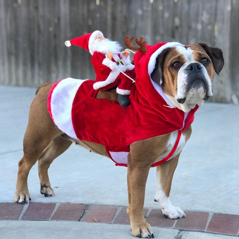 Costumi natalizi per cani da compagnia costumi divertenti costume da babbo natale per cani gatti novità vestiti per cani chihuahua carlino york abbigliamento