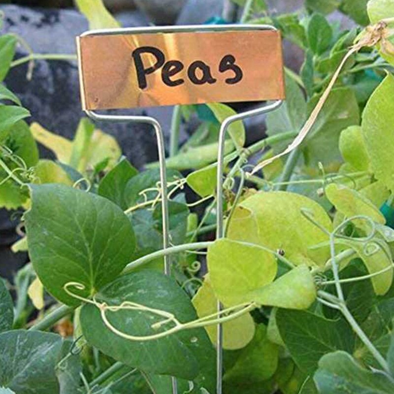 40 Stuks Van Metal Plant Labels 10 Inch Copper Plant Labels Plant Tag Labels