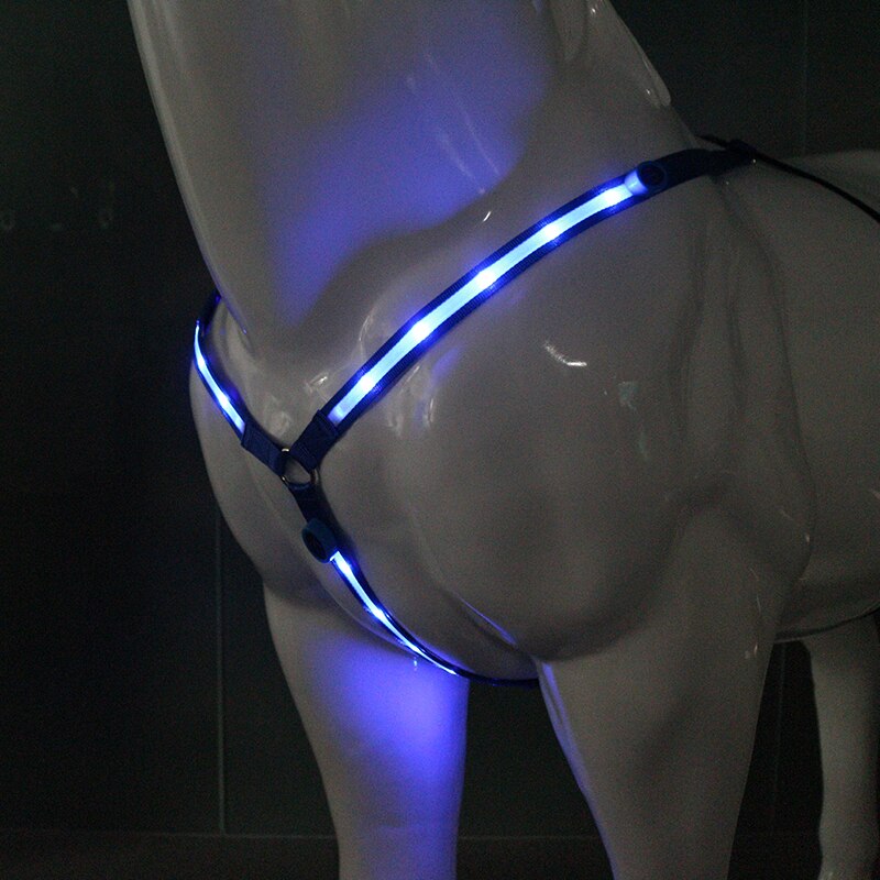 LED Équitation Ceinture En Nylon Imperméable Cheval Ceinture Thoracique Visible de Nuit Plastron Équitation Éclairage Équipement Équestre