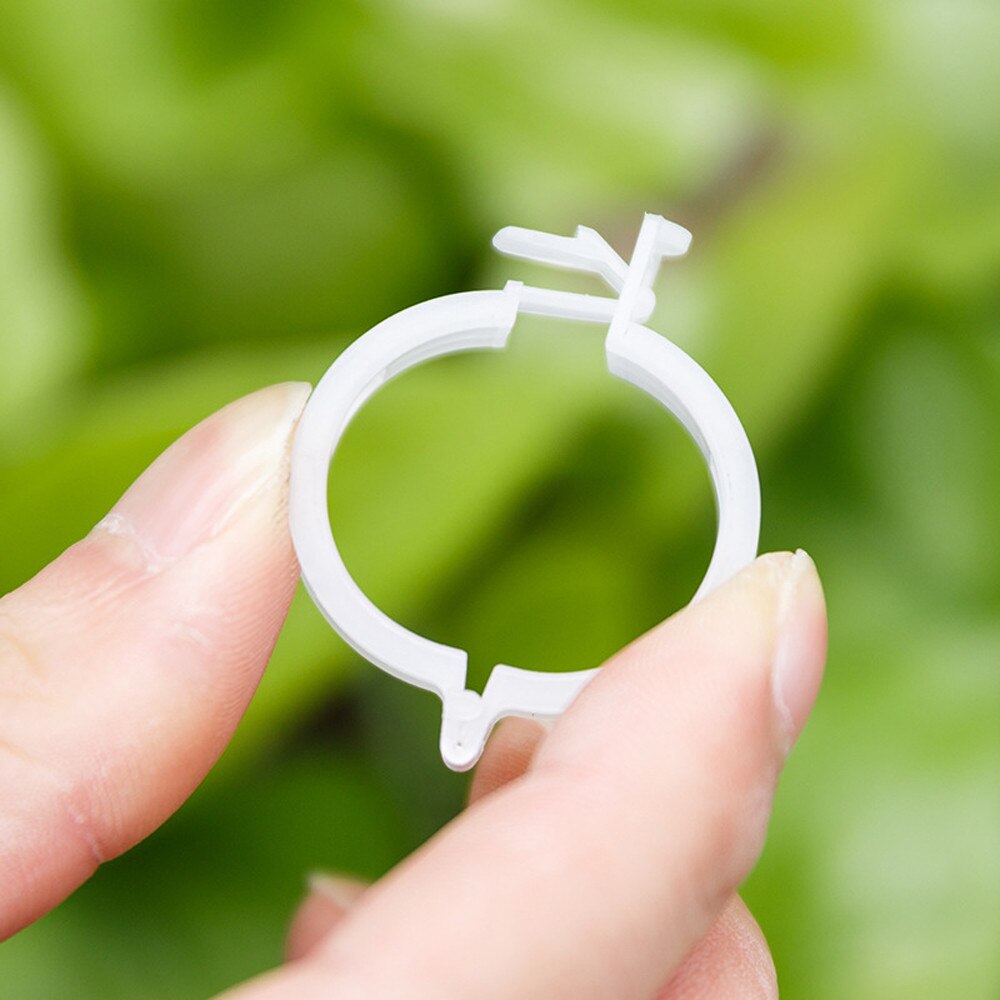 100PC plastique treillis tomate Clips Supports relie plantes vignes treillis ficelle Cages serre végétarien jardin plante pince AD