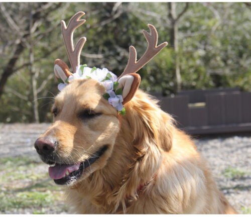 Diademas de Navidad para mascotas, asta de ciervo, banda Floral para la cabeza, accesorios de aseo para perros, gatos y cachorros