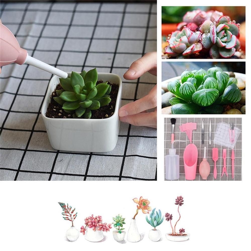3Pieces Garden Plastic Mini Plant Tool Set Miniature Succulent Potting Tools Planting Flower Transplanters Hand Tool Kit 5pz