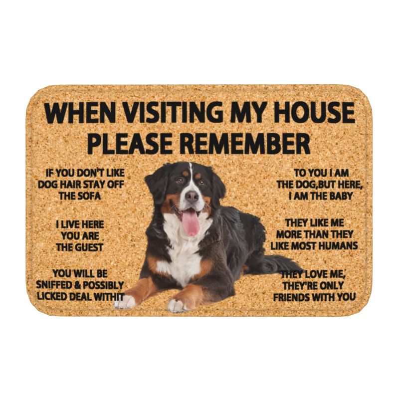 Please Remember English Bulldog Doormat Non-Slip Bathroom Kitchen Mat Living Room Door Floor Entrance Carpet Rug: Pink
