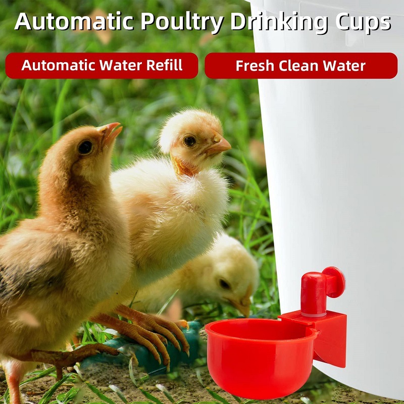 Taza para beber pollo, bebedero automático, alimentador de pollo, bebedero de plástico para aves de corral, bebedero de agua potable para pollitos, patos, gansos, codornices