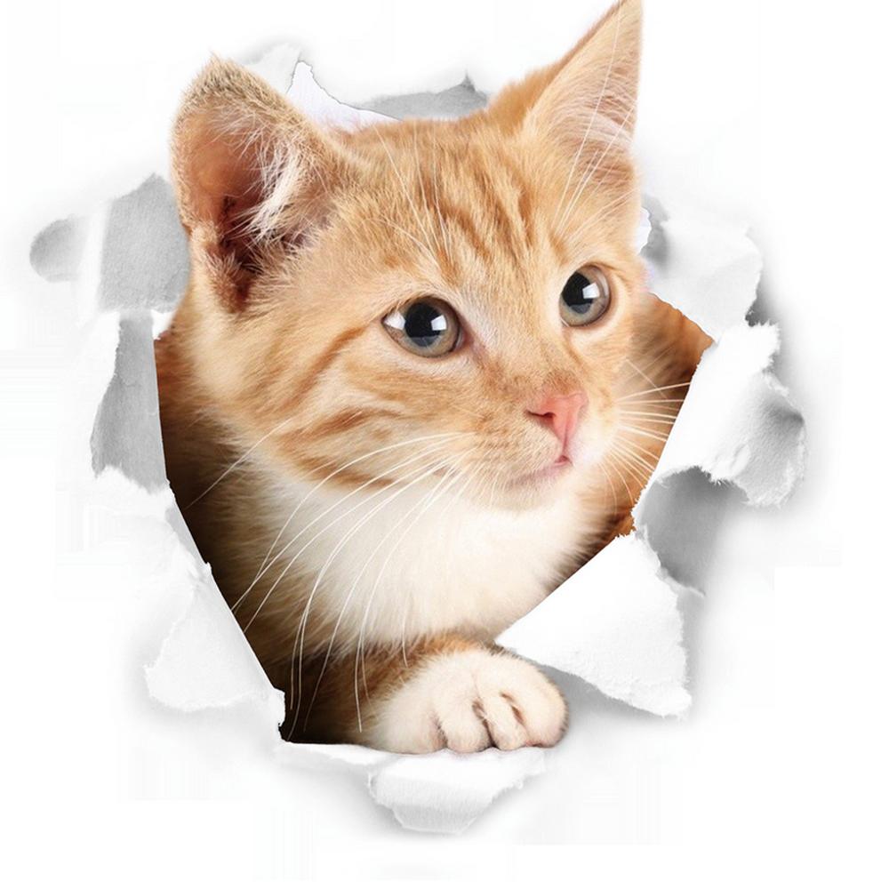 Katten 3D Muursticker Wc Stickers Gat View Levendige Honden Badkamer Voor Thuis Decoratie Dieren Vinyl Decals Art Sticker Poster