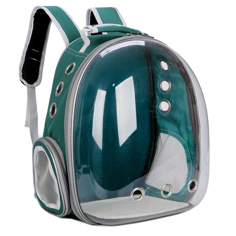 Sac de transport pour chat sac à dos pour chat respirant petit sac de transport pour animaux de compagnie sac de voyage extérieur sac à dos transporteur pour chats chiens espace Transparent: Green