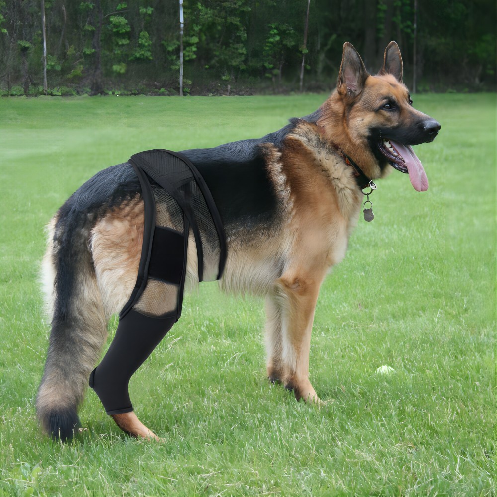 Hond Beensteun Ongelingeerd Voor Postoperatieve Fixatie Huisdier Kniebeschermers Voor Gewrichtsblessure Herstel Benen Brace Hond Heupgewricht Beschermen