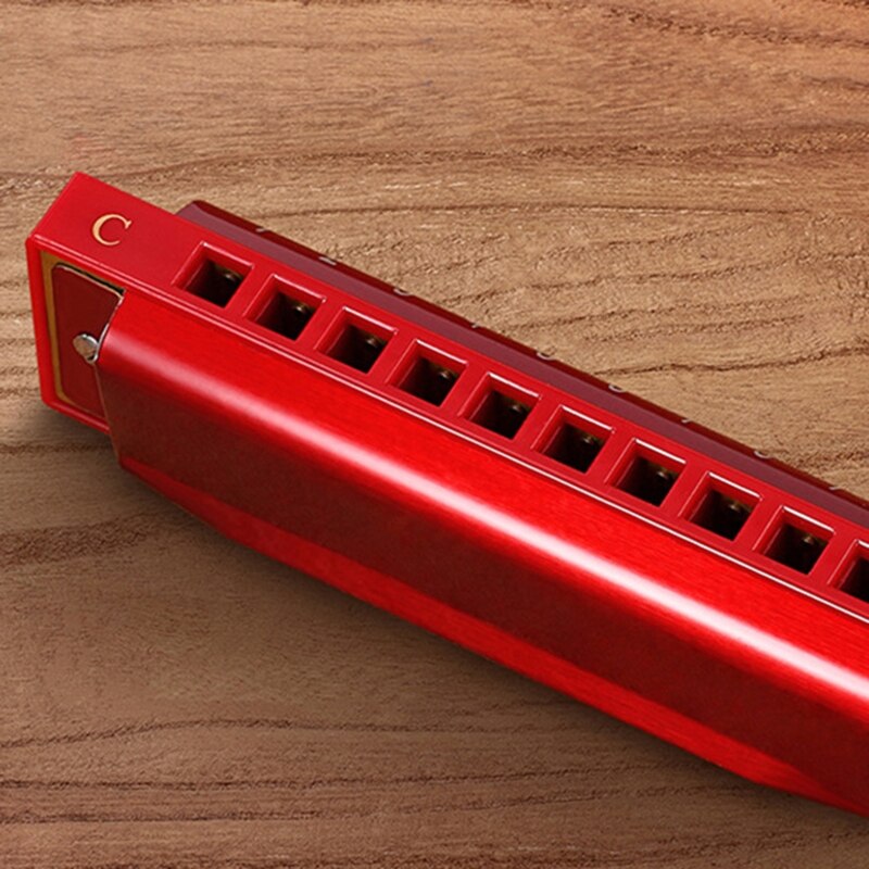 Key C Blue Harmonica , 10 Holes 20 Tones, Blue Harp, Mouth Organ, Harmonica for Adults, Beginners,Students G99D