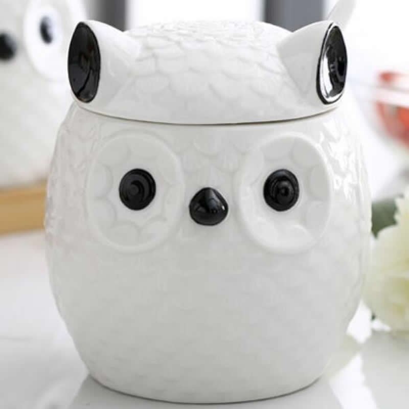 Schattige uil keuken keramische kruidenpot witte minimalistische uil thuis opbergfles
