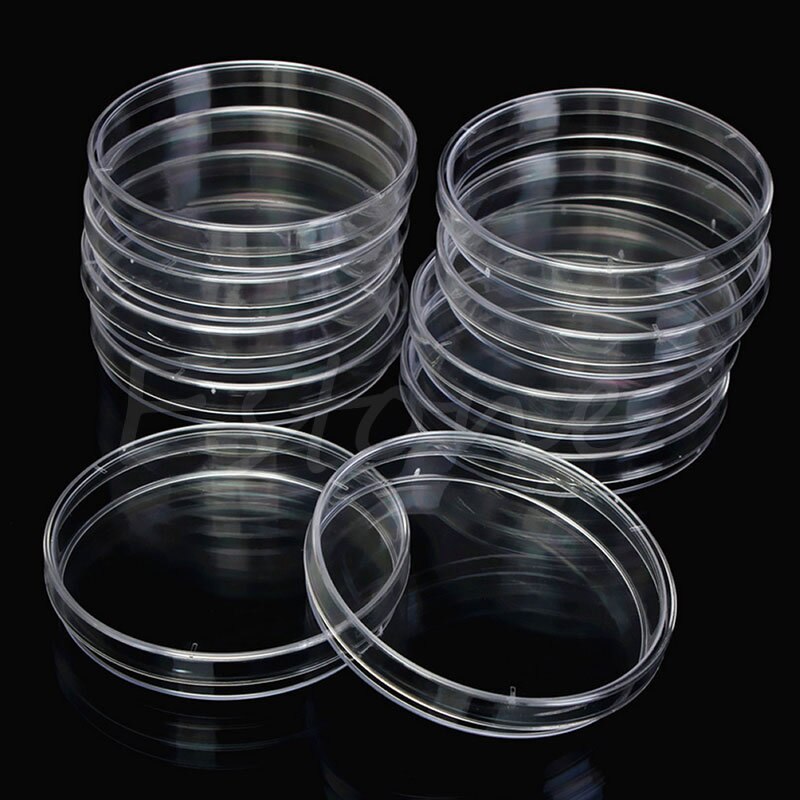10 Boîtes De Pétri Stériles Yasoe - 55x15mm | Pour Culture Bactérienne, Laboratoire