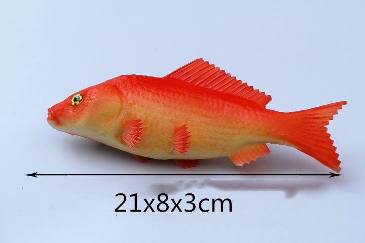 Freshwater Sea Life Animals Simulation Coelacanth Piranha Bass Fish Salmon Figure Model Lifelike Educational Toy Prop Decoration: 7