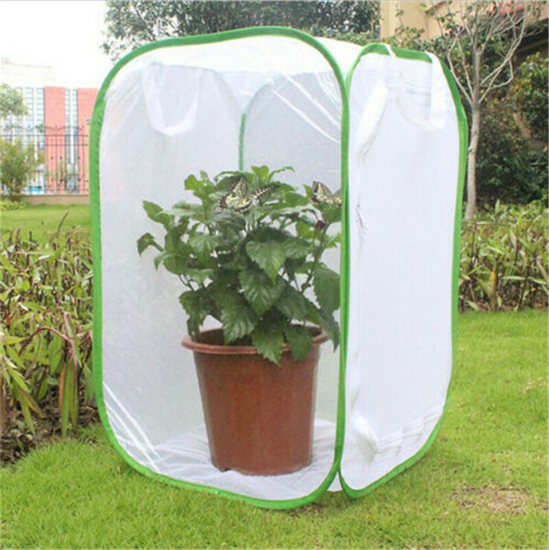 1 Pièces Mante religieuse Bâton Vert Portable Pliable D'insecte Caméléon Cage Boîtier Insectes Fournitures Boîtes à Mailles