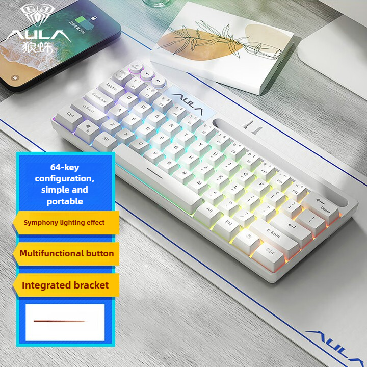 AULA F3061 Wired Mini Mechanical Keyboard 61 Key Simplified Layout Multi-function Button Ergonomics RGB Office Gaming Keyboard: Default Title